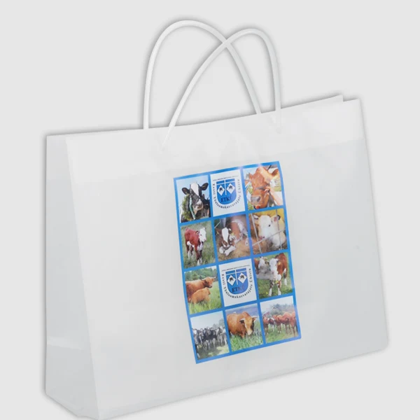 Luxury cord-handle plastic bags
